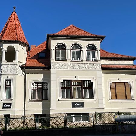 Vila Marioara 锡比乌 外观 照片